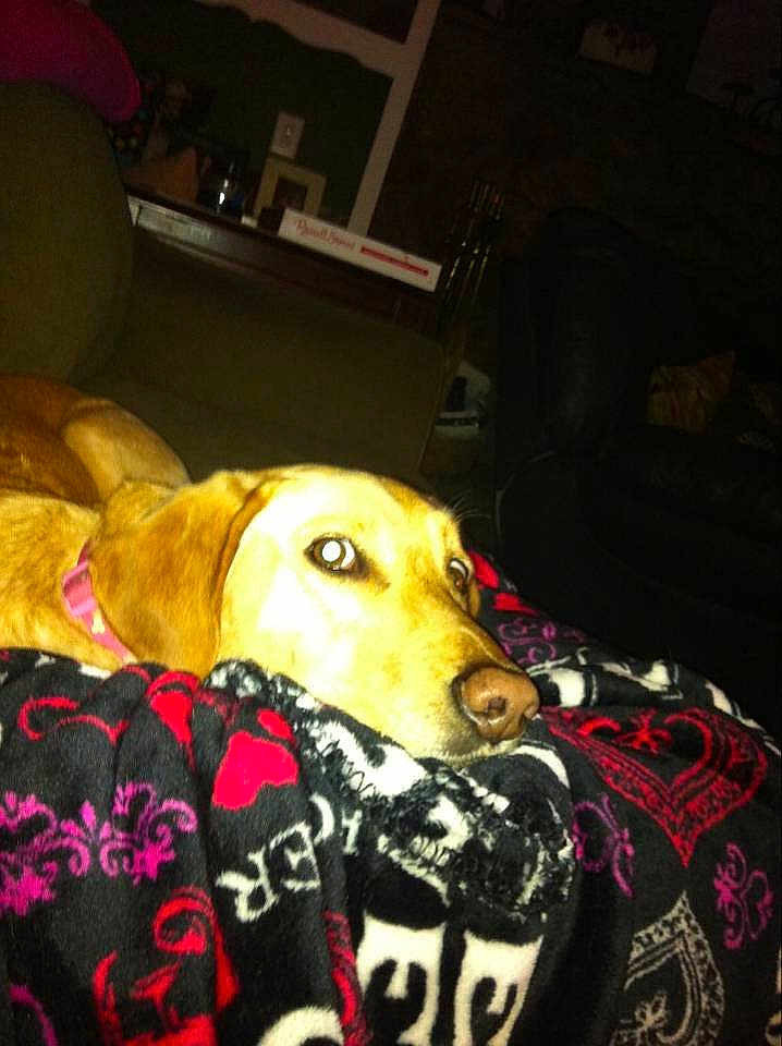 Casey