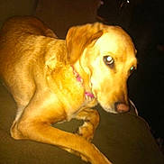 Casey is registered to the contest to win money with this photo: