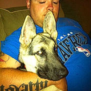 Ladybug is registered to the contest to win money with this photo: