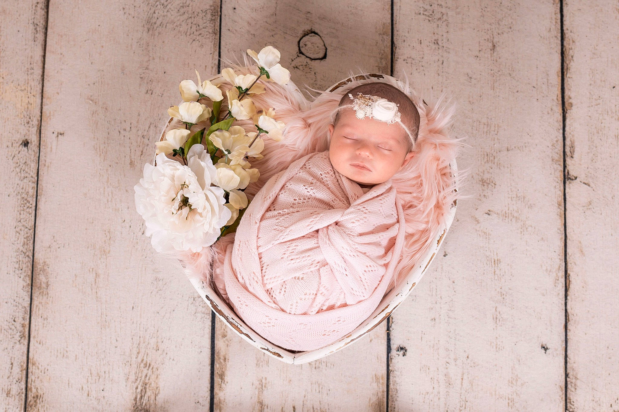 Isabelle joined the competition — help win amazing prizes! artificial_flower, bridal_accessory, door, dress, fashion_accessory, flower, flower_arranging, hair, happy, head, headband, headgear, headpiece, headwear, jewellery, person, petal, plant, rose, twig