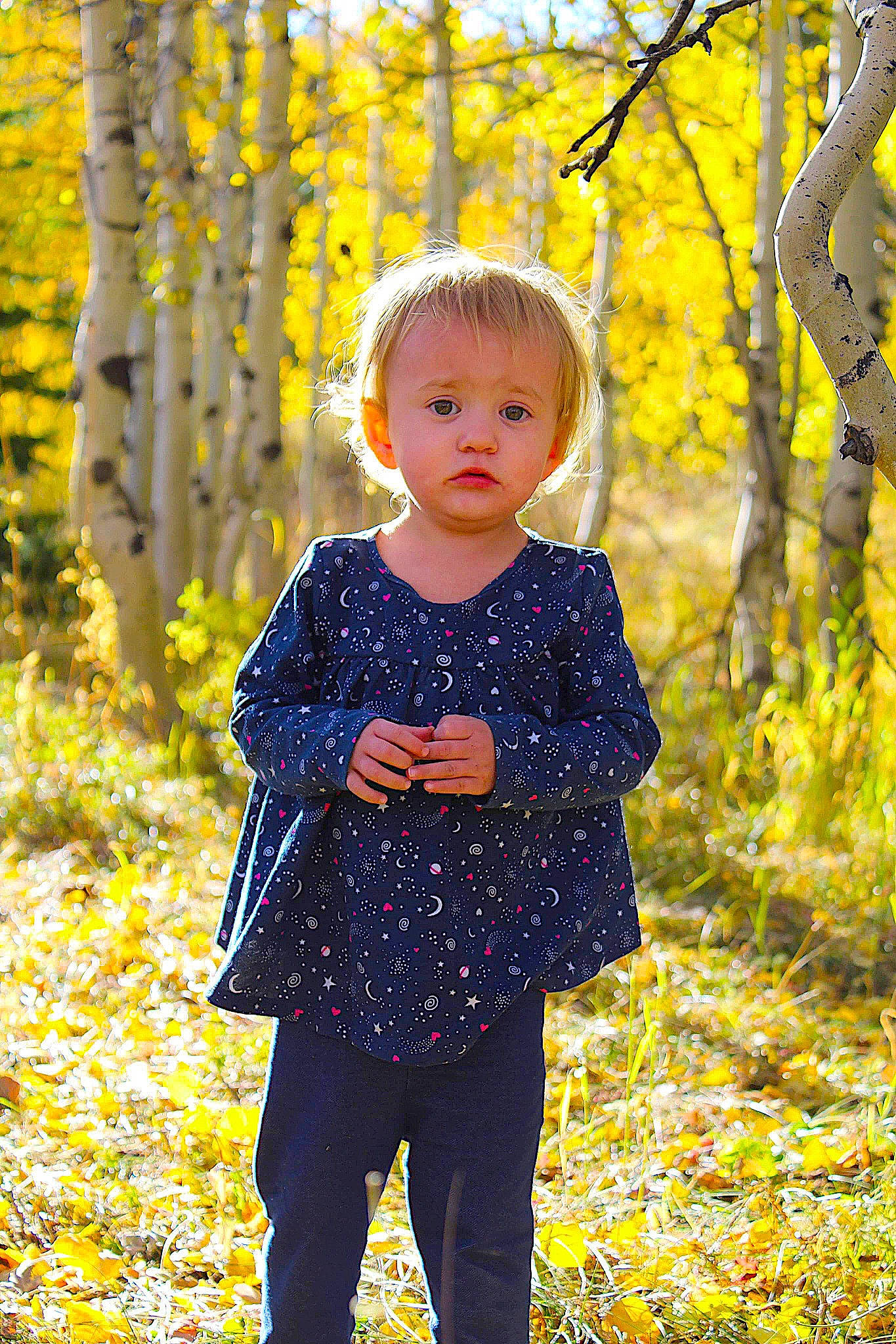 Harper joined the competition — help win amazing prizes! baby_toddler_clothing, branch, child, clothing, deciduous, electric_blue, forest, grass, hairstyle, happy, leaf, people_in_nature, person, plant, sleeve, sunlight, tints_and_shades, toddler, tree, woodland