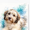 dog, puppy, fluffy, portrait, watercolor, illustration, paint_splashes, blue_background, cream_fur, brown_fur, brown_eyes, black_nose, lying_down, front_paws, long_hair, pet, animal, artwork, name_text, phone_screenshot