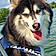 Shilo
