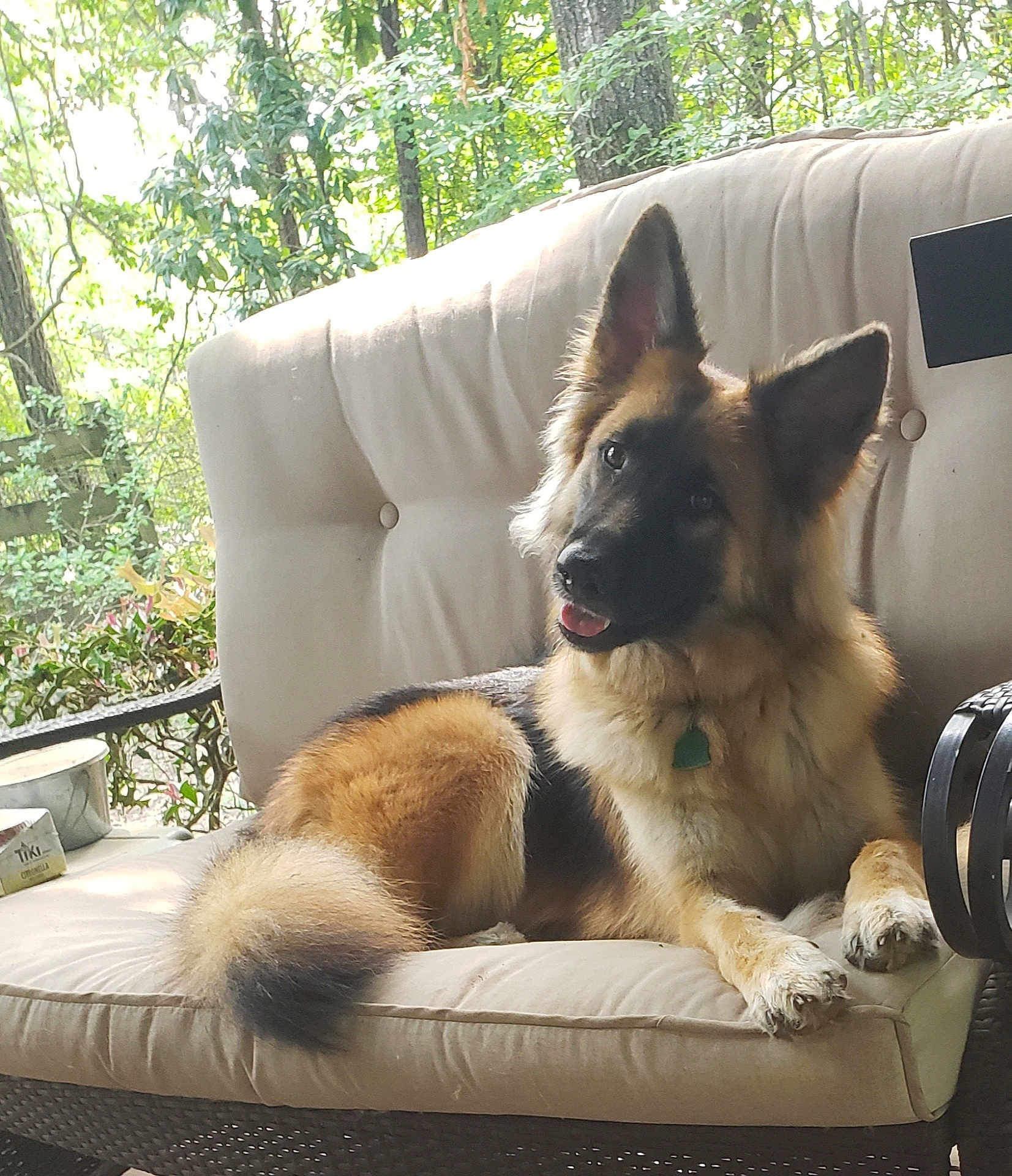 Bella