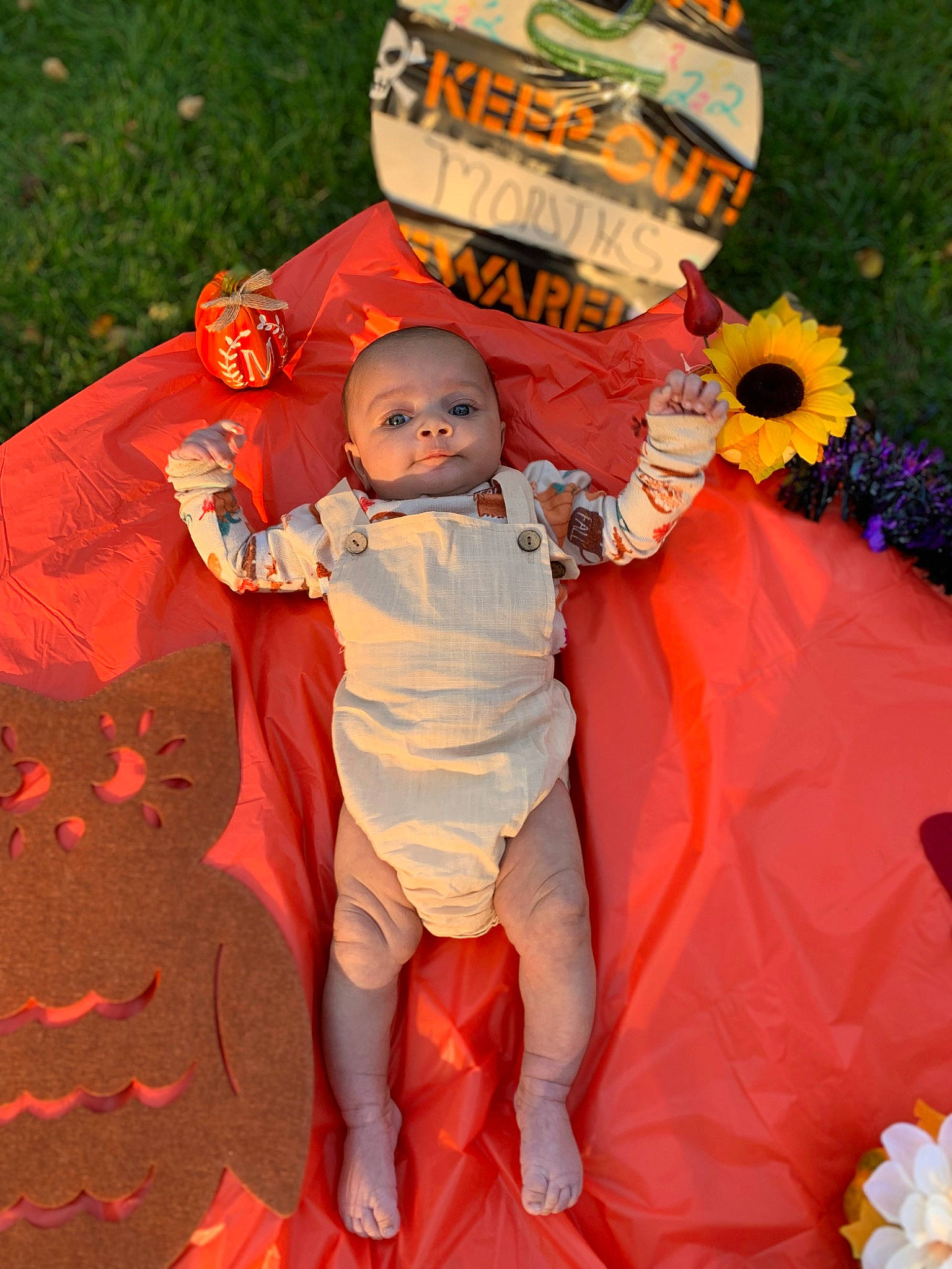 Malakhi joined the competition — help win amazing prizes! baby, baby_toddler_clothing, botany, dress, event, flower, fun, grass, happy, hat, leisure, orange, people_in_nature, person, petal, plant, recreation, sunglasses, toddler, tree