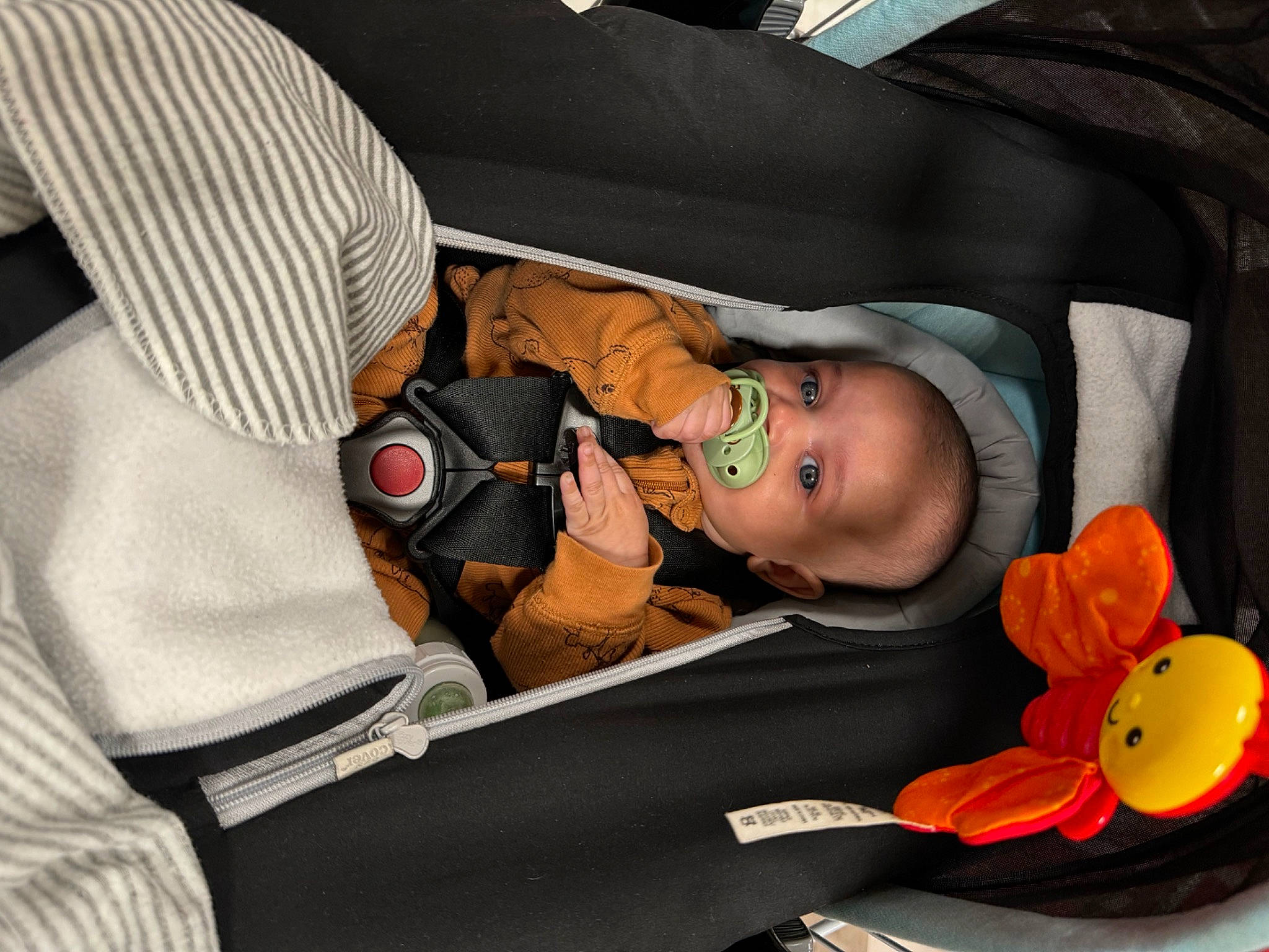 Malakhi joined the competition — help win amazing prizes! auto_part, baby, baby_products, bag, car_seat, child, comfort, hat, headgear, person, room, service, toddler, trick_or_treat