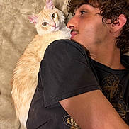 Vezpa is registered to the contest to win money with this photo: affection, animal, bed, black_shirt, cat, closeup, cozy, cream_cat, curly_hair, feline, fluffy, human, indoors, kissing, long_hair, lying_down, man, pet, portrait, selfie