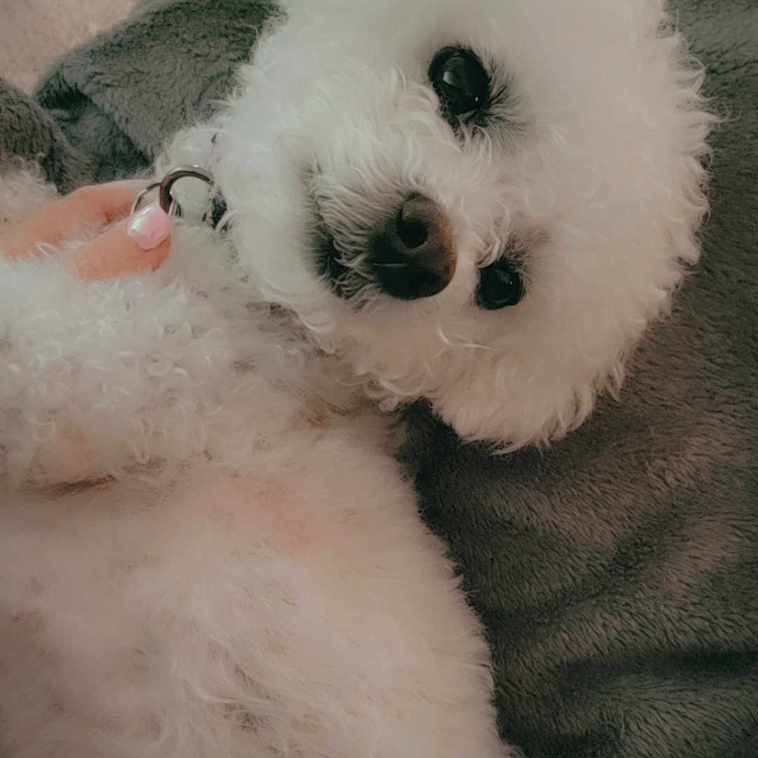 Annie