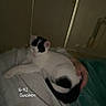 cat, white_cat, black_spots, sleeping, curled_up, blanket, person, hand, indoor, dim_light, door, timestamp, text_overlay, cozy, resting, pet, feline, animal, bedroom, quiet