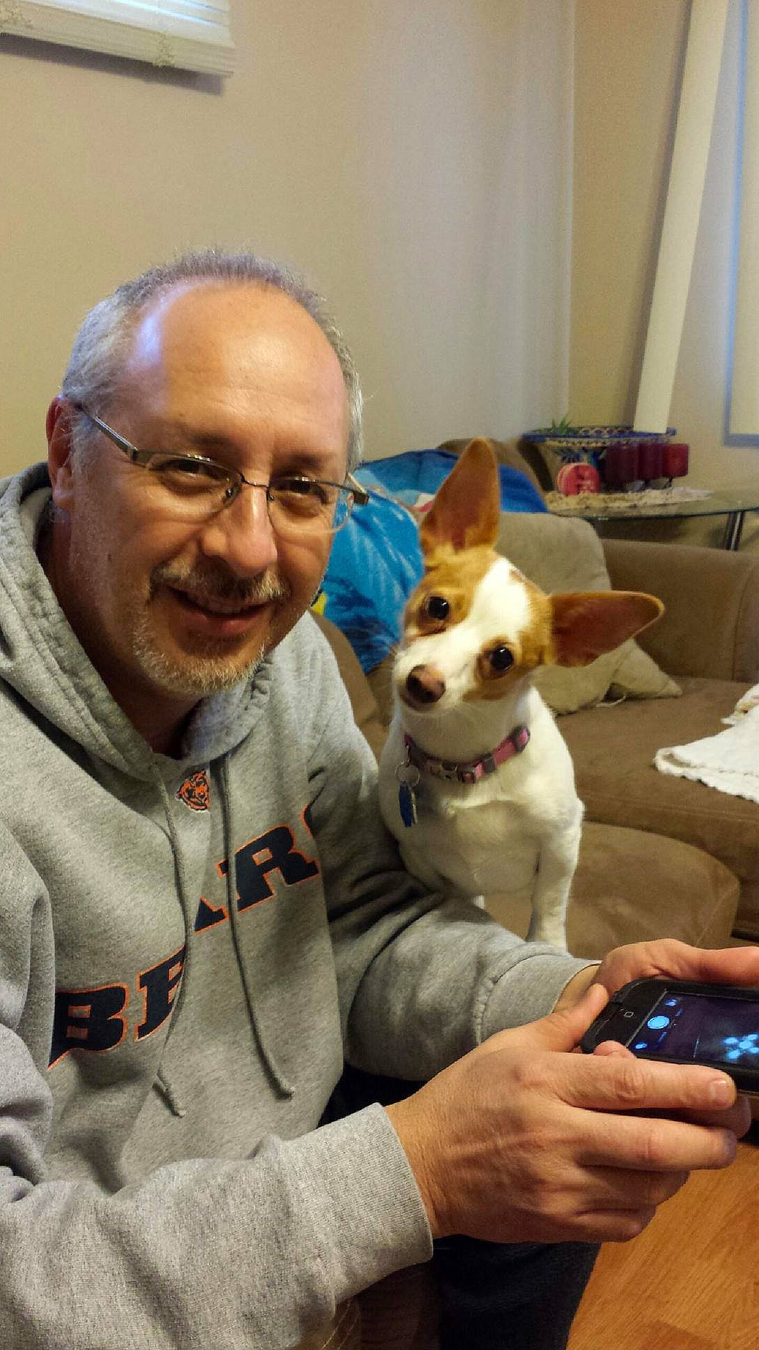 Chica joined the competition — help win amazing prizes! canidae, carnivore, chair, comfort, companion_dog, couch, curtain, dog, dog_breed, fawn, fun, fur, glasses, houseplant, lap, mobile_phone, remote_control, sitting, smile, sporting_group