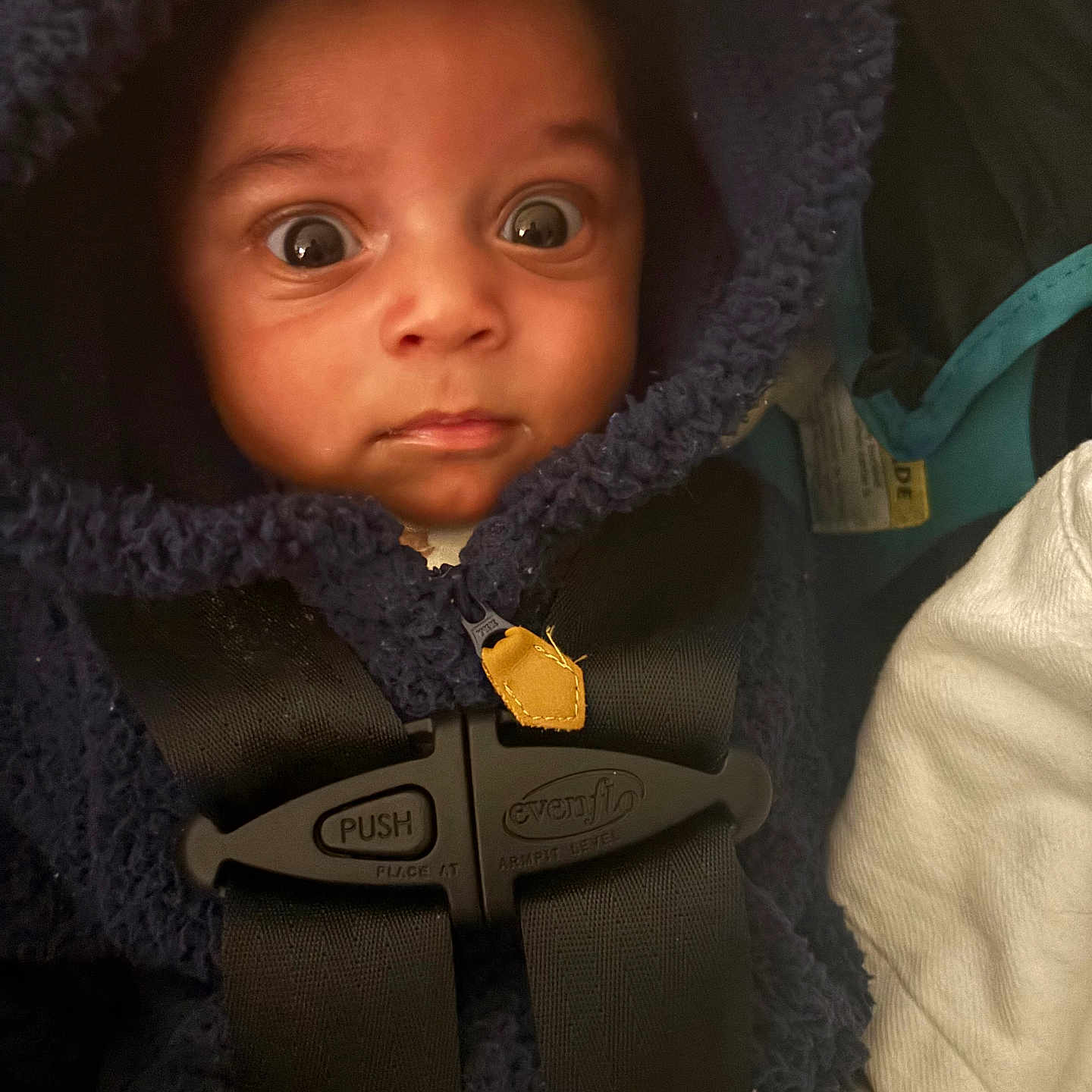 Nakai joined the competition — help win amazing prizes! baby, car_seat, child, child_safety, closeup, clothing, cute, expression, face, fuzzy_clothing, hooded_jacket, indoor, infant, person, portrait, seatbelt, small_person, warm, wide_eyes, young