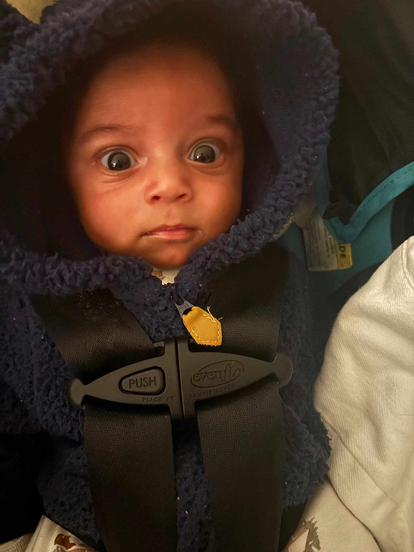 Nakai joined the competition — help win amazing prizes! baby, child, car_seat, seatbelt, hooded_jacket, fuzzy_clothing, wide_eyes, indoor, person, infant, portrait, cute, expression, child_safety, clothing, young, face, closeup, warm, small_person