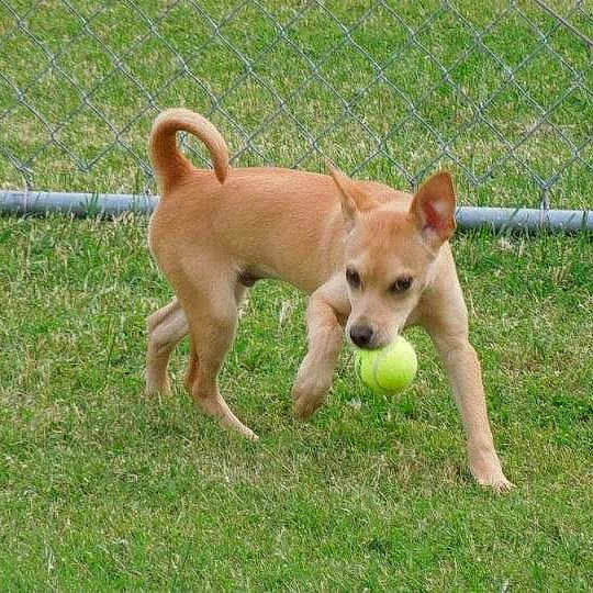 Apollo is registered to the contest to win money with this photo: