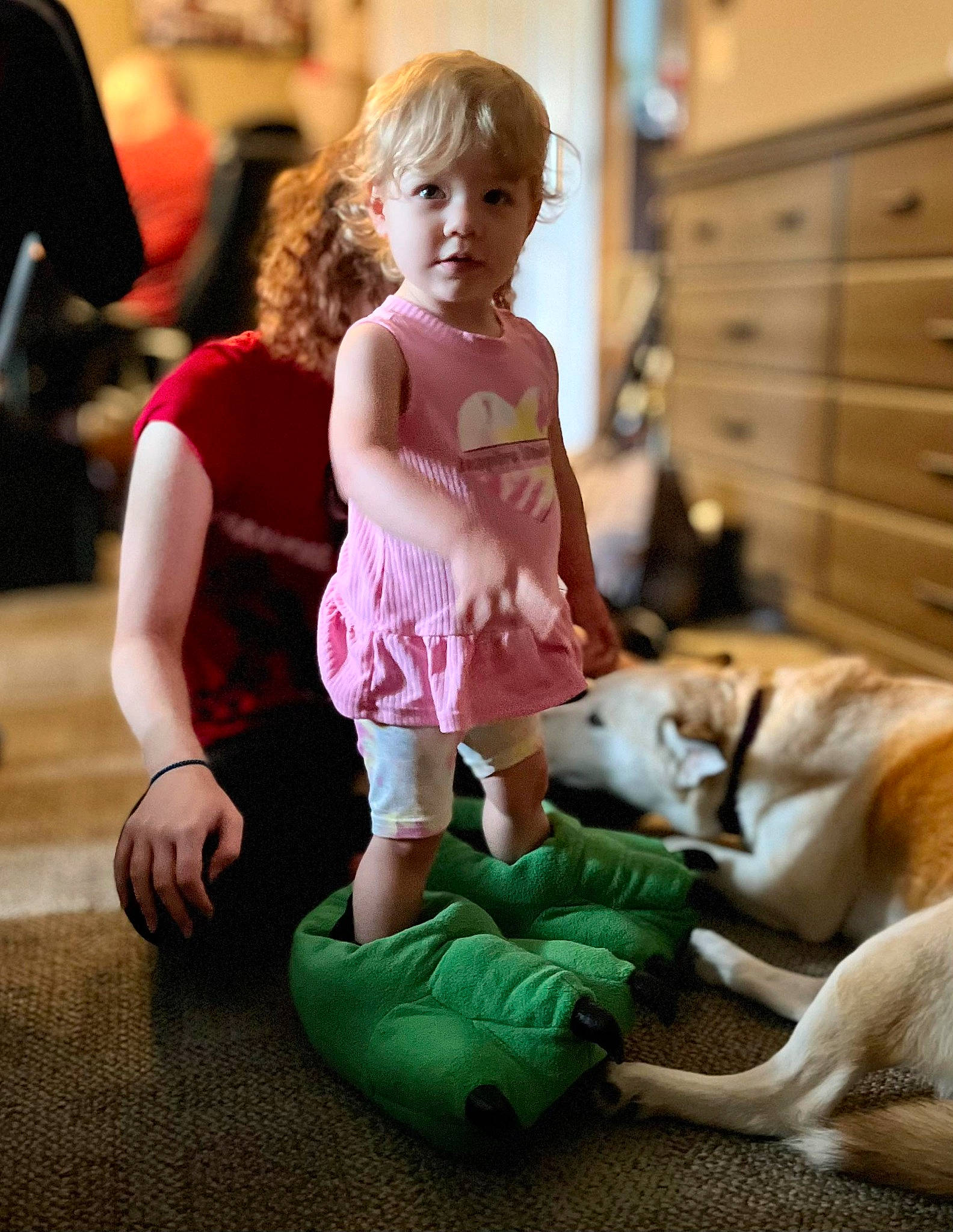 Janelle joined the competition — help win amazing prizes! cabinetry, carnivore, chest_of_drawers, child, companion_dog, dog, dog_breed, drawer, fawn, flooring, fun, happy, human_leg, lap, leisure, person, room, sitting, sock, toddler