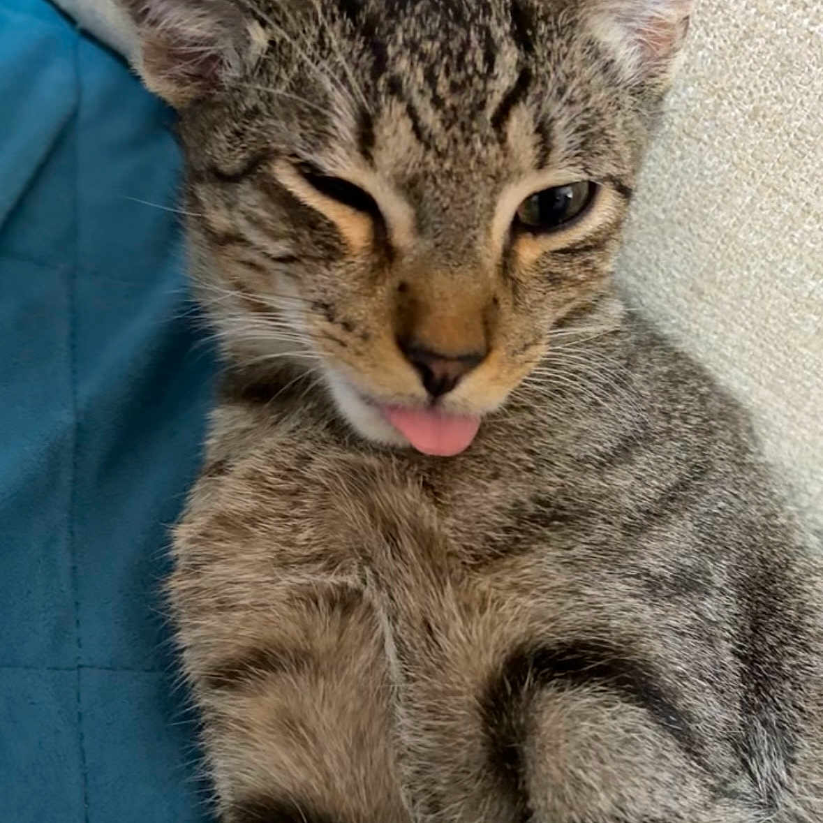 Junior