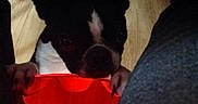 Gulli participe au concours pour gagner de l'argent avec cette photo :