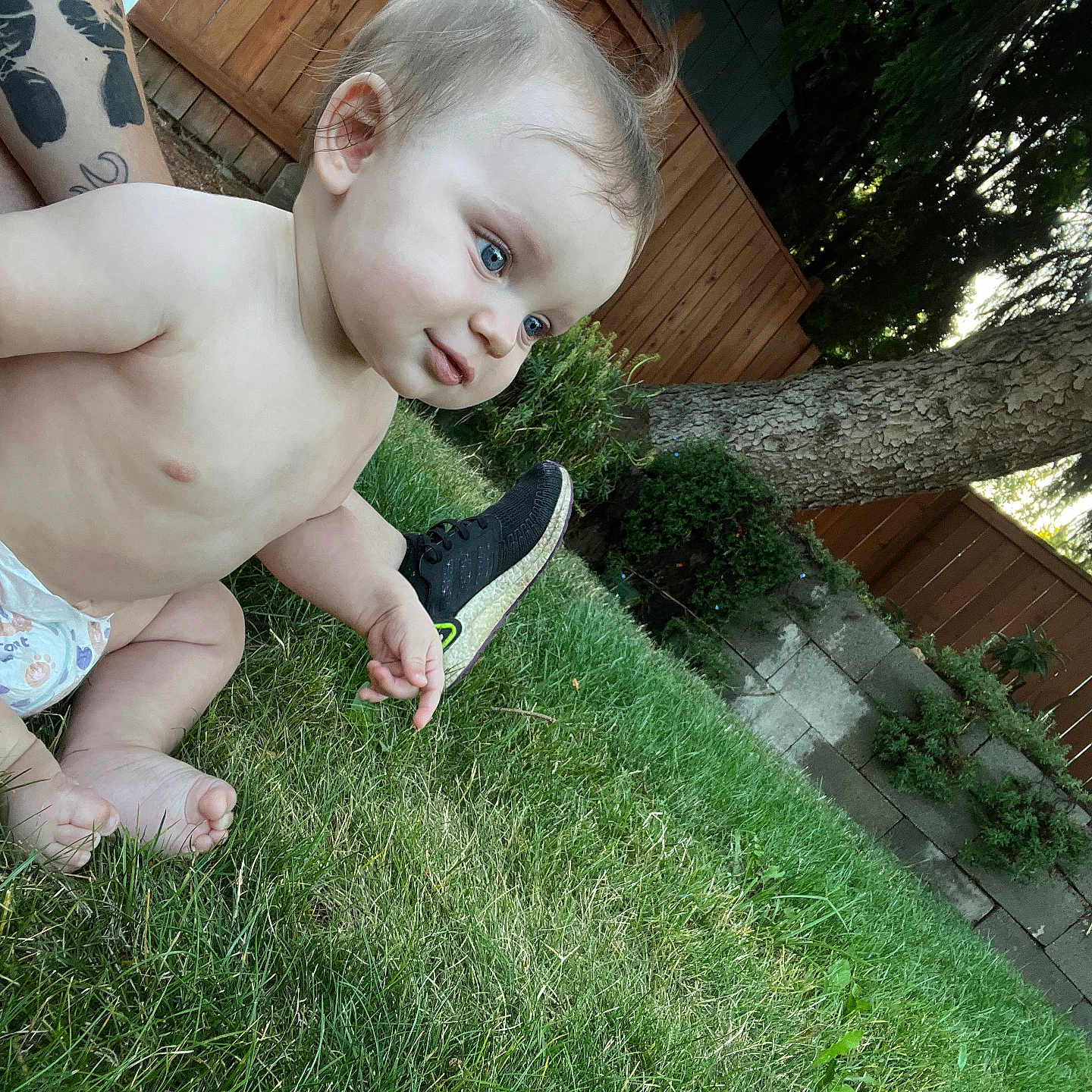 Karsyn is registered to the contest to win money with this photo: baby, backyard, bodypart, face, finger, grass, hand, head, lawn, nature, outdoors, person, photography, plant, portrait, pottedplant, summer, tree, wood, yard
