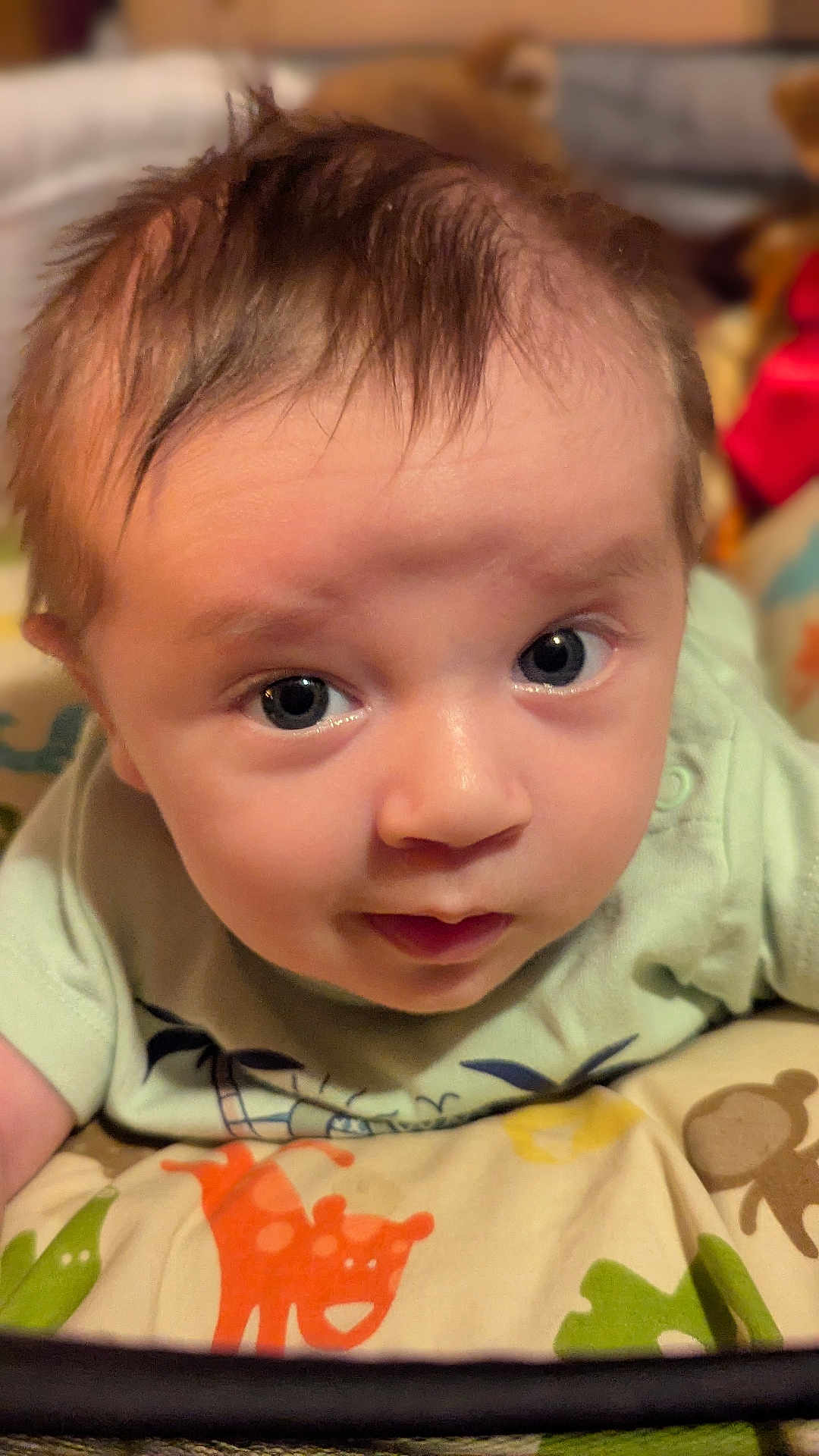 Leonelli is registered to the contest to win money with this photo: baby, infant, face, eyes, hair, curious, blanket, animal_pattern, closeup, child, cute, indoors, expression, portrait, young, toddler, soft_lighting, skin, lying_down, clothing