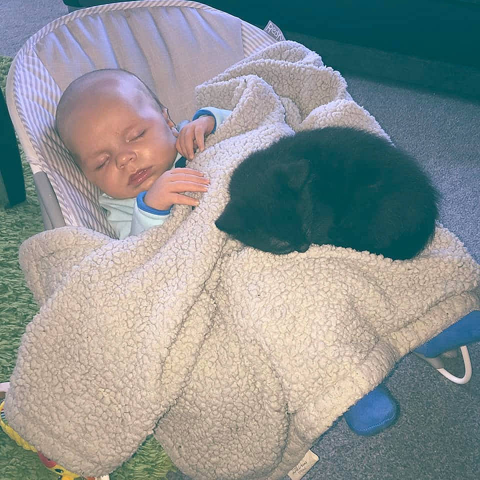 Edison is registered to the contest to win money with this photo: baby, baby_products, baby_sleeping, blanket, child, comfort, linens, person, product, sleep, textile, toddler, wool