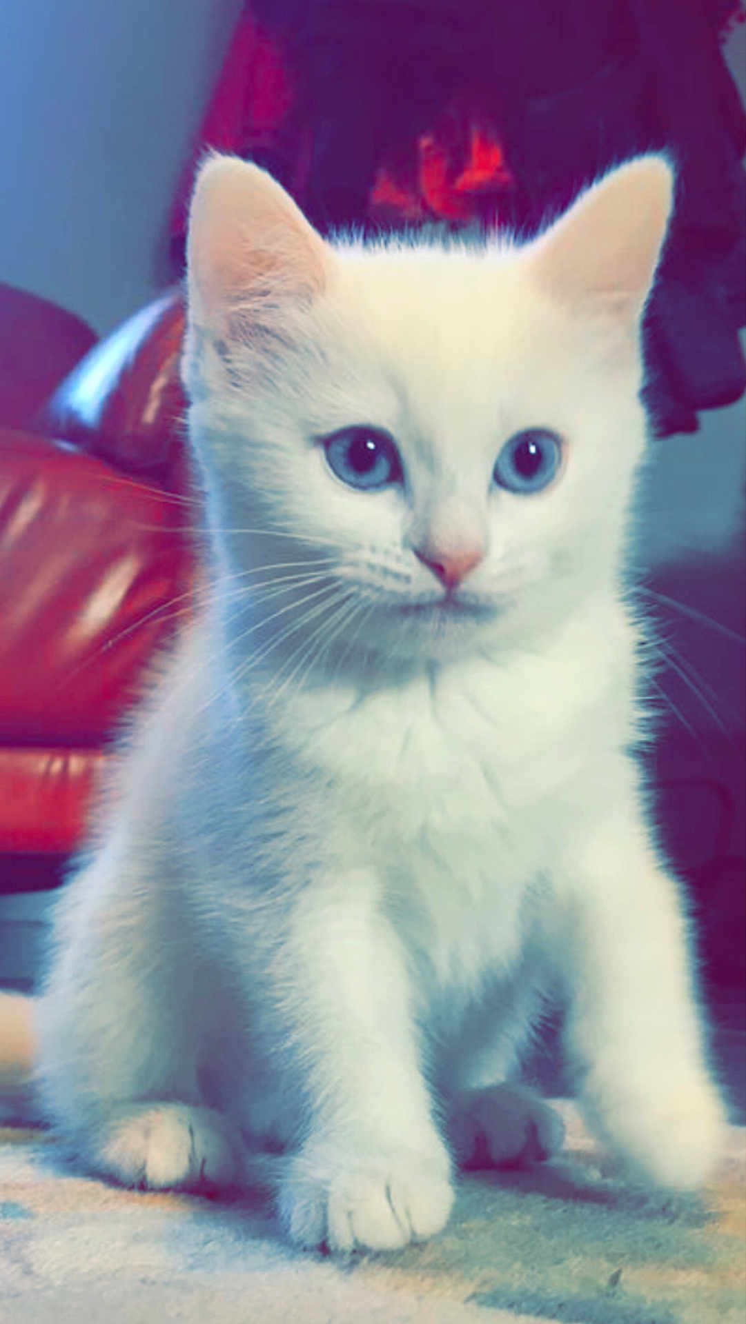 Yana