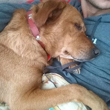 Lila