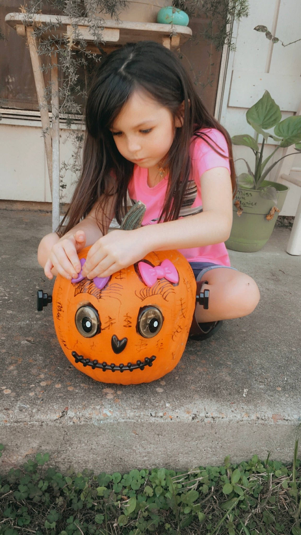 Breelyn is registered to the contest to win money with this photo: calabaza, cucurbita, dress, flowerpot, fruit, gourd, grass, hair, head, houseplant, jack_o_lantern, jeans, natural_foods, orange, person, plant, pumpkin, squash, thigh, vegetable