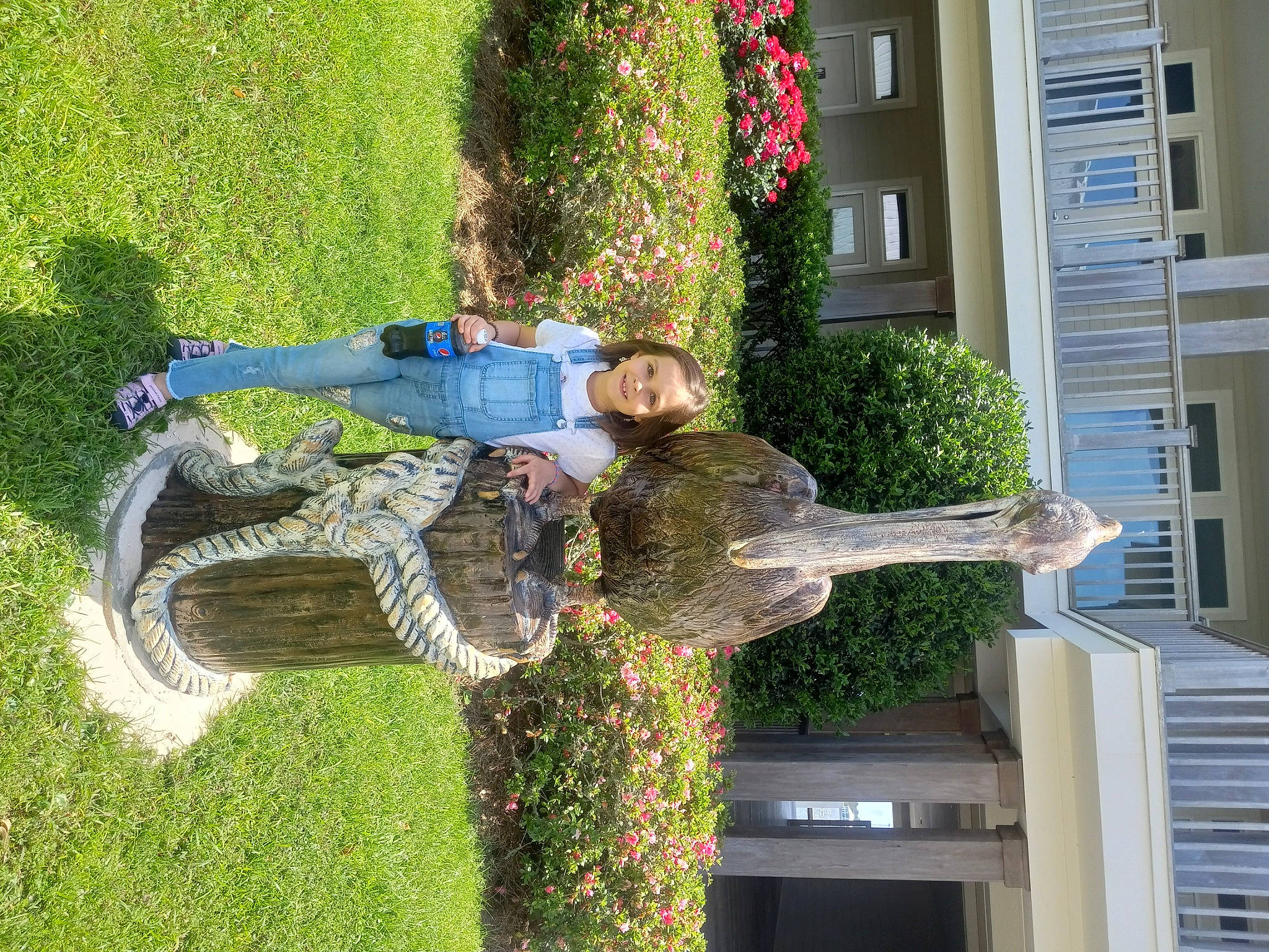 Paisley joined the competition — help win amazing prizes! annual_plant, building, facade, fish, flower, fun, garden, grass, grass_family, green, groundcover, joy, landscaping, lawn, leisure, people_in_nature, person, plant, shrub, tree