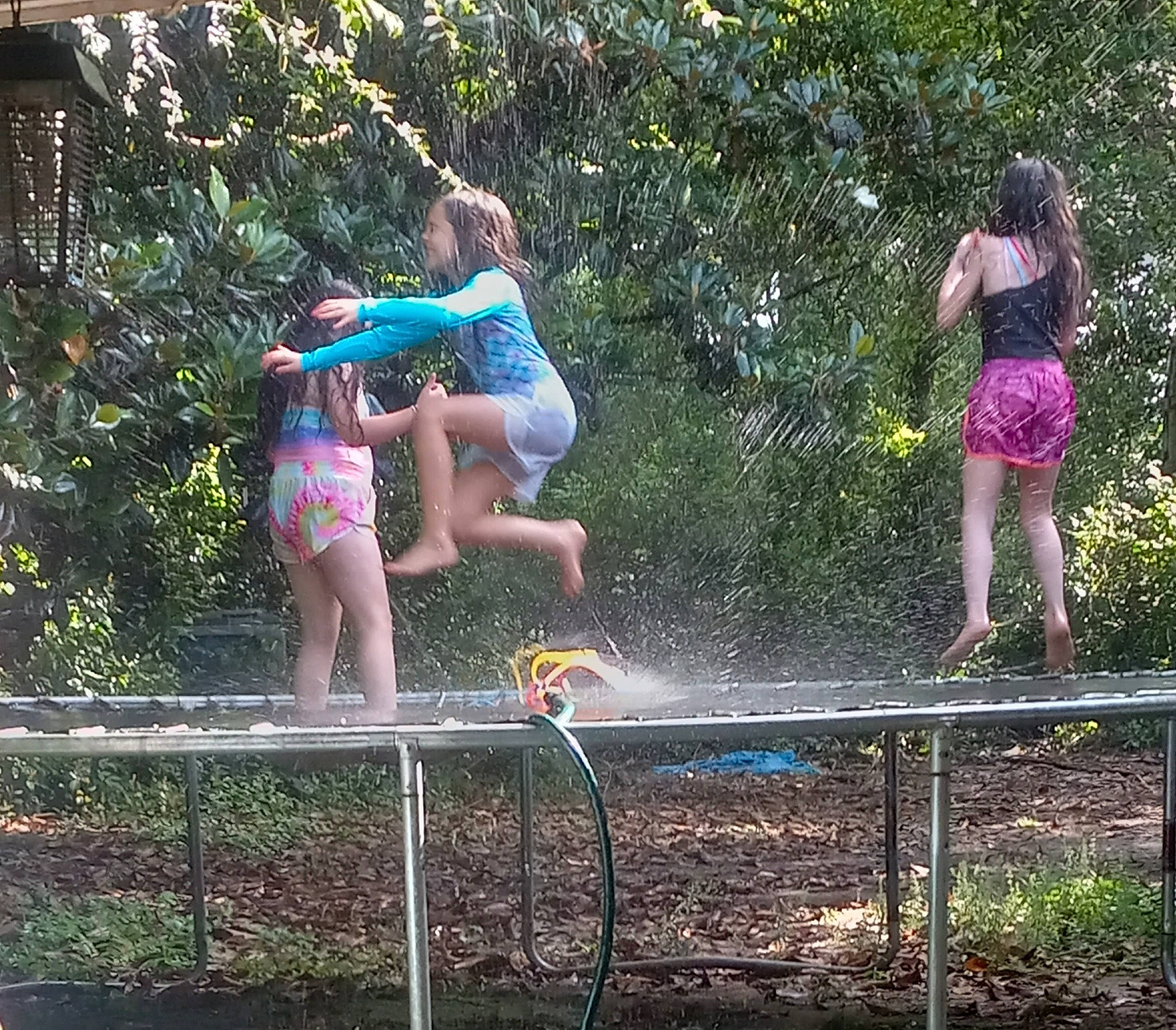 Baylee joined the competition — help win amazing prizes! barefoot, child, city, fun, garden, grass, happy, jungle, leisure, outdoor_play_equipment, people_in_nature, person, plant, play, playground, recreation, shorts, thigh, trampolining_equipment_and_supplies, tree