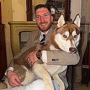 Ange a rejoint le concours — aidez-le/la à gagner de superbes lots ! man, dog, husky, indoor, smiling, suit, tie, watch, furniture, clock, vintage, floor, wood, pet, animal, portrait, happy, holding, seated, home