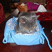 MIMI participe au concours pour gagner de l'argent avec cette photo :