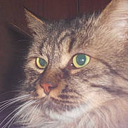 NELSON participe au concours pour gagner de l'argent avec cette photo :