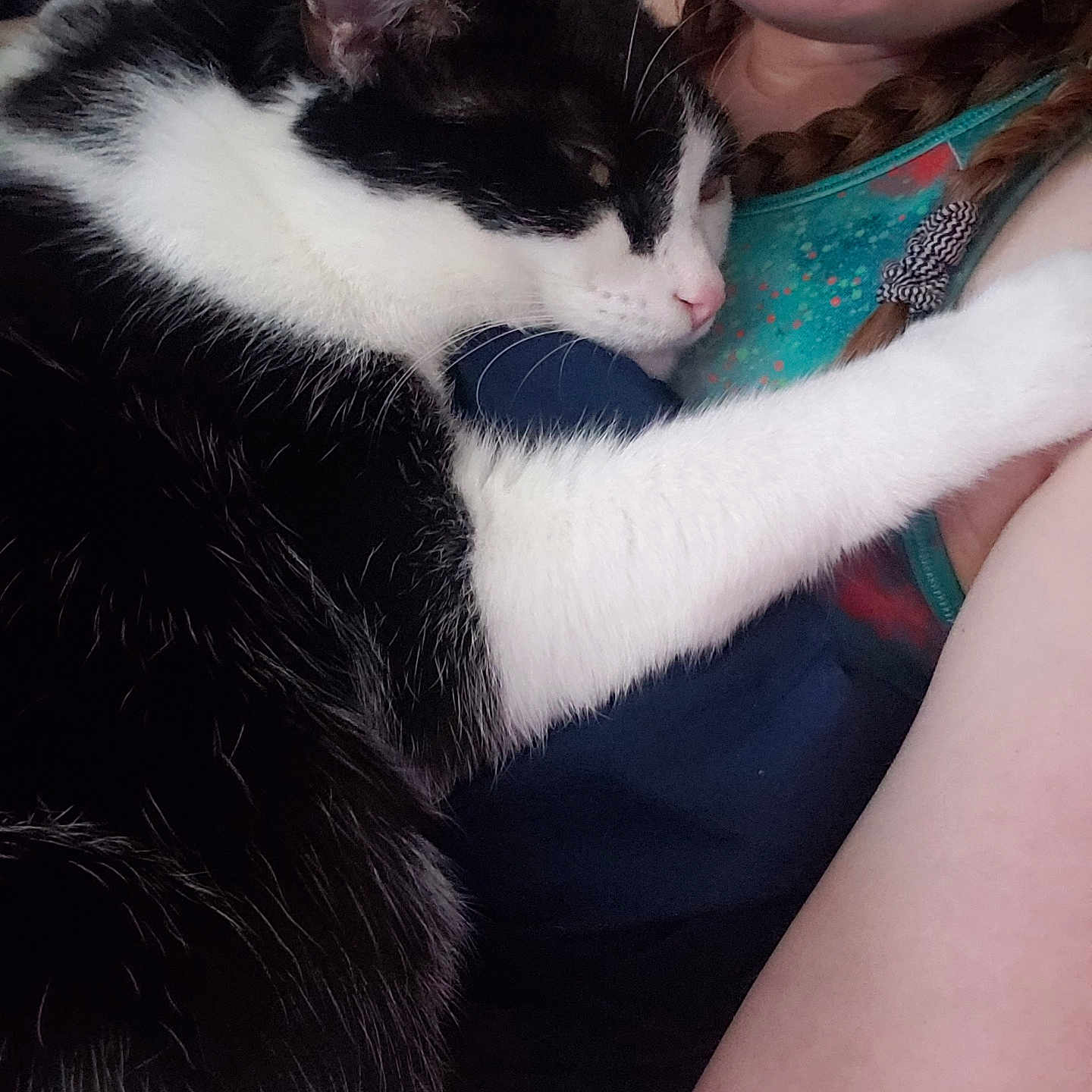 Michaelangelo is registered to the contest to win money with this photo: accessories, animal, bodypart, cat, chair, couch, face, furniture, glasses, head, indoors, kitten, manx, mouth, person, pet, photography, portrait, sleeping, teeth