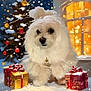 celebration, christmas_lights, christmas_tree, cute, decorations, dog, festive, fluffy, gift_boxes, glowing_light, holiday, night, ornaments, pet, ribbons, snow, snowfall, white_dog, window, winter