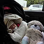 Victoria participe au concours pour gagner de l'argent avec cette photo : baby, sleeping, car_seat, blanket, pacifier, hat, stuffed_animal, plush_toy, vehicle_interior, window, car, child, cozy, cute, peaceful, infant, toy, soft, resting, seat