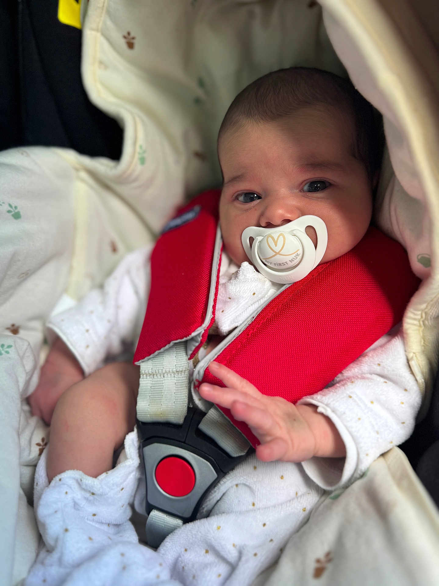 Victoria a rejoint le concours — aidez-le/la à gagner de superbes lots ! baby, pacifier, car_seat, red_strap, white_clothing, infant, child, cute, portrait, indoor, newborn, sitting, hand, face, head, safety_harness, blanket, cozy, close_up, expression