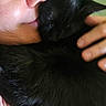 affection, black_cat, black_fur, cat, close_up, companionship, cozy, cuddling, ears, feline, hand, home, indoor, kissing, person, pet, pink_clothing, portrait, relaxed, whiskers