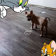 Bscotte participe au concours pour gagner de l'argent avec cette photo : puppy, dog, cartoon, tom_and_jerry, wooden_floor, indoor, home, standing, brown_fur, small_dog, pet, animal, photograph, digital_overlay, text_overlay, flooring, ears, tail, looking_at_camera, humorous