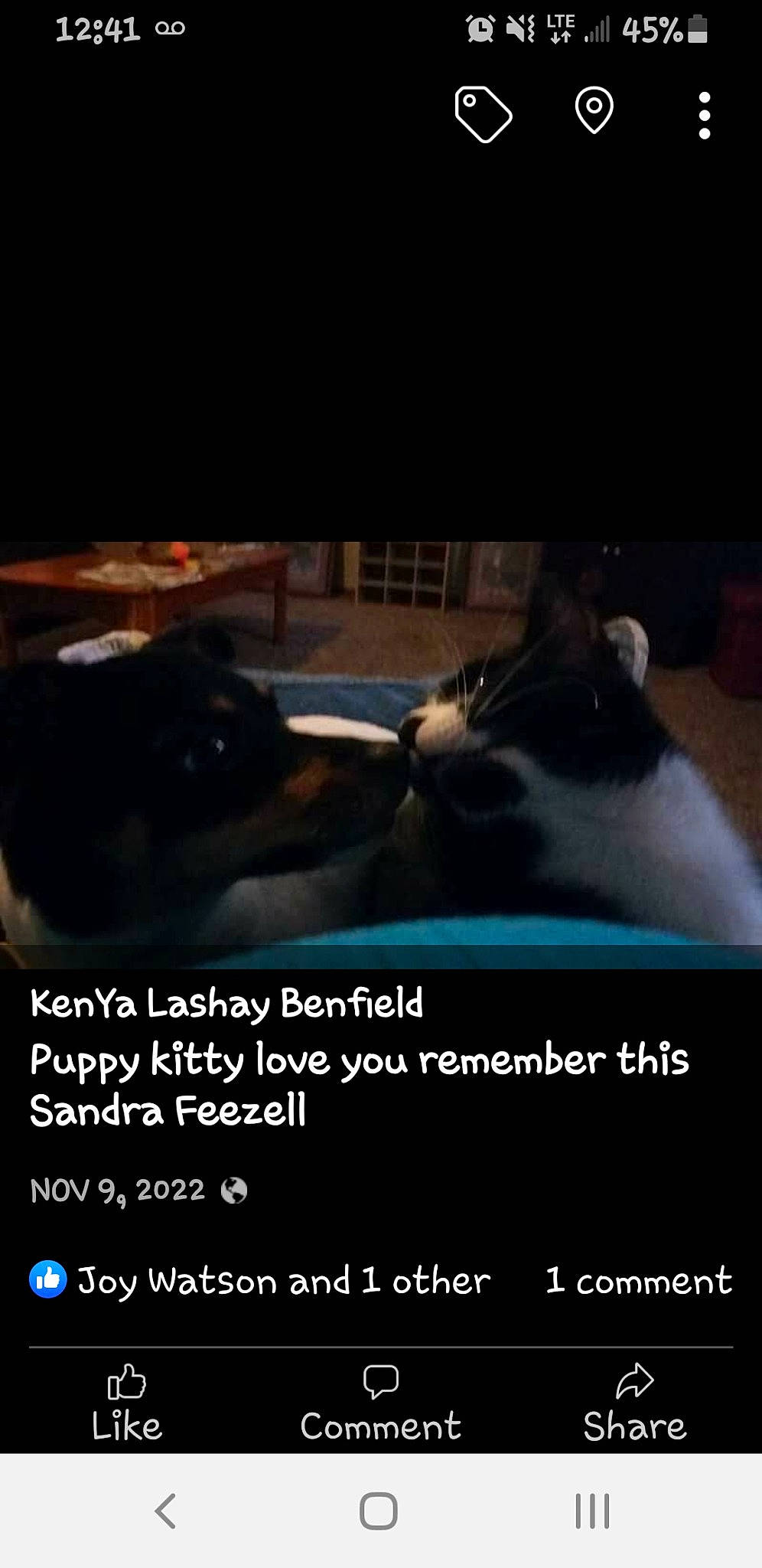 Georgia is registered to the contest to win money with this photo: brand, carnivore, cat, darkness, felidae, flash_photography, font, fur, love, multimedia, night, personal_luxury_car, photo_caption, screenshot, sky, small_to_medium_sized_cats, whiskers, wildlife, window