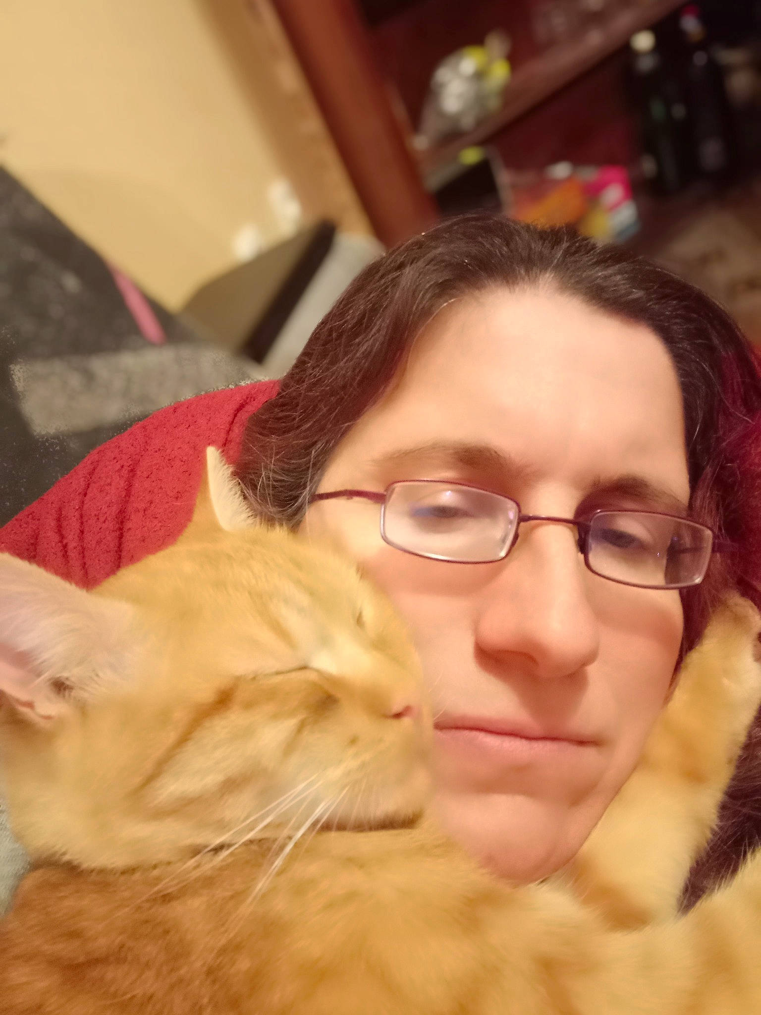 Paprika a rejoint le concours — aidez-le/la à gagner de superbes lots ! carnivore, cat, comfort, ear, eye, eyelash, eyewear, facial_expression, felidae, glasses, happy, head, iris, mammal, mouth, nose, skin, textile, vertebrate, vision_care