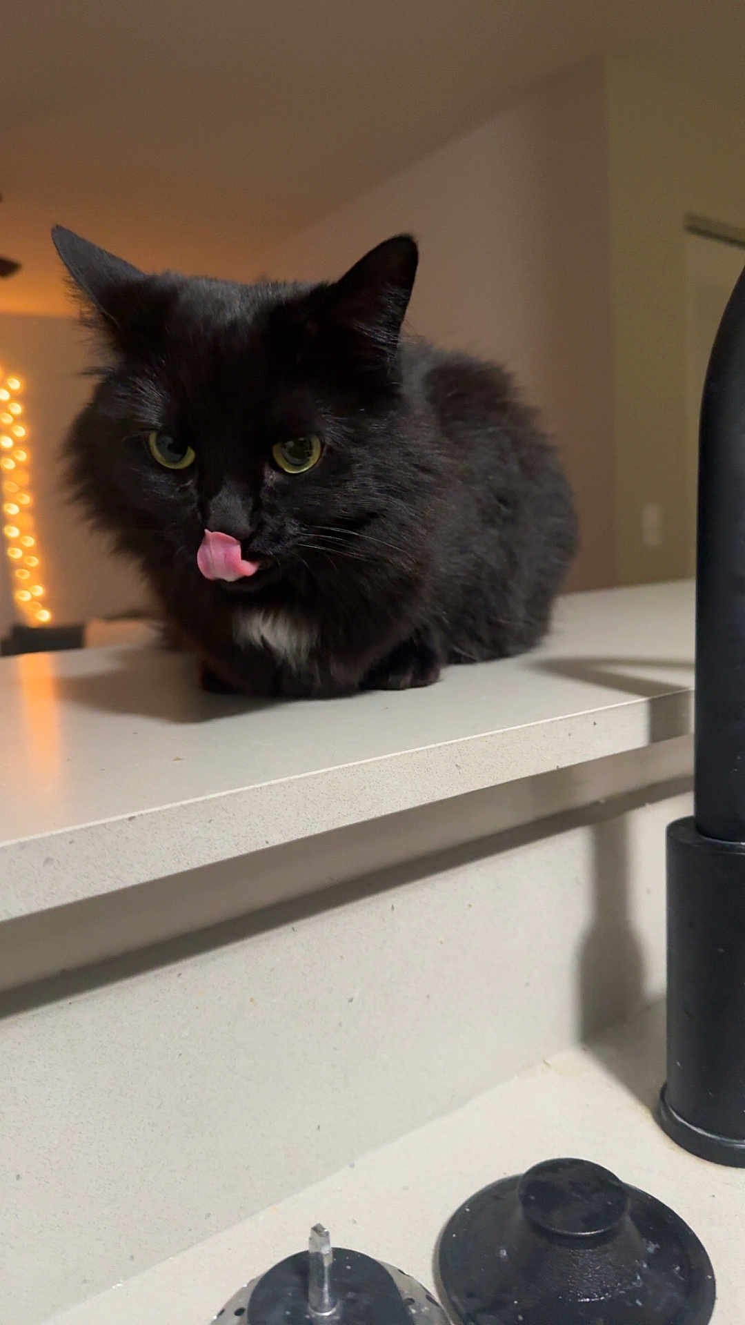 Salem