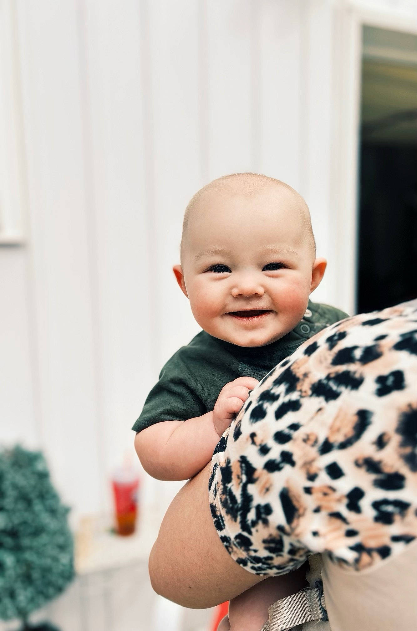 Calvin is registered to the contest to win money with this photo: baby, baby_toddler_clothing, cheek, child, comfort, flash_photography, fun, happy, joint, joy, laugh, pattern, person, plaid, plant, room, shoulder, sitting, skin, sleeve