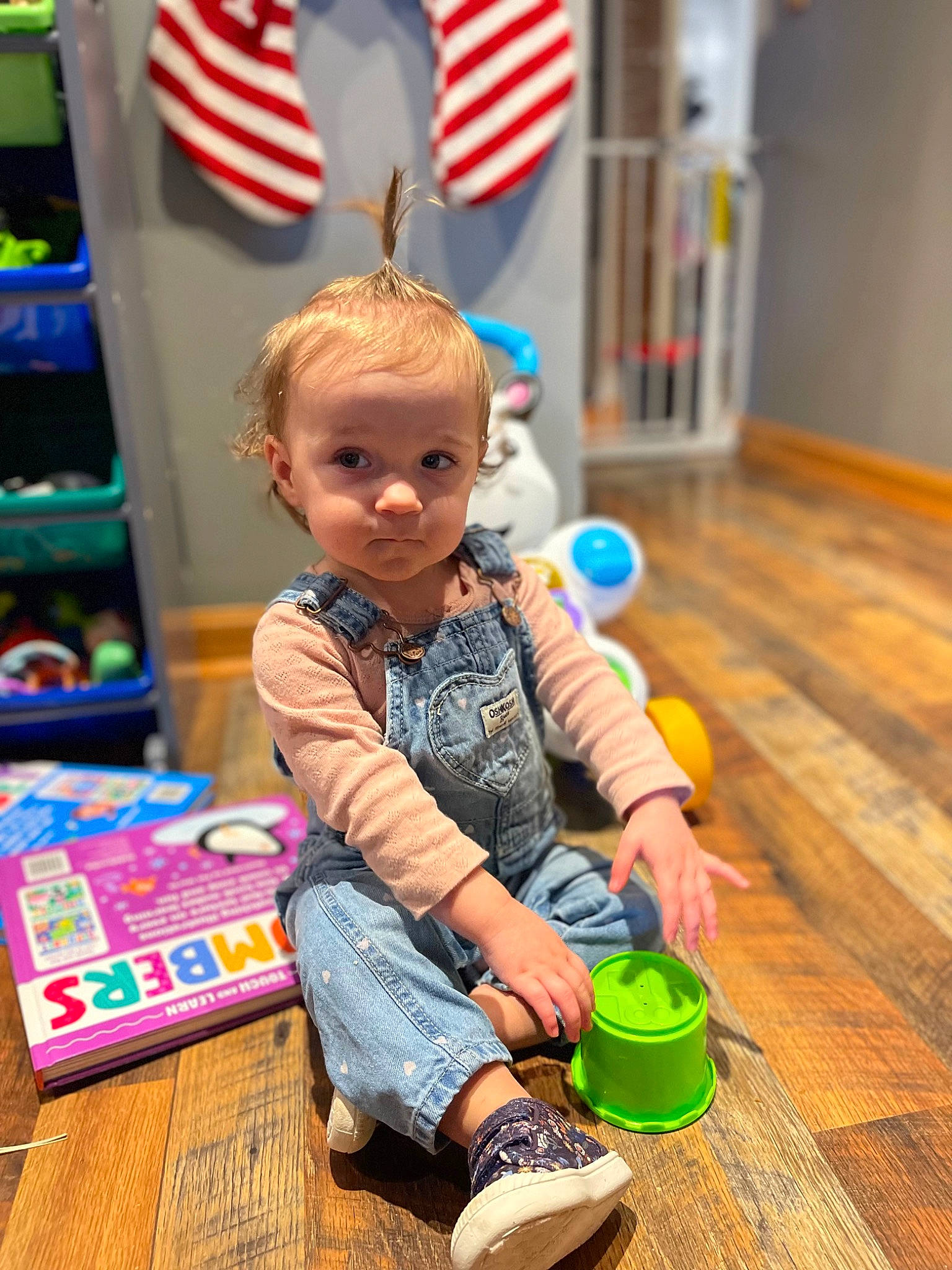 Bethany joined the competition — help win amazing prizes! baby, baby_playing_with_toys, baby_toddler_clothing, blue, child, event, flag, flag_of_the_united_states, flooring, fun, hardwood, leisure, person, play, room, sitting, toddler, toy, wood, wood_flooring