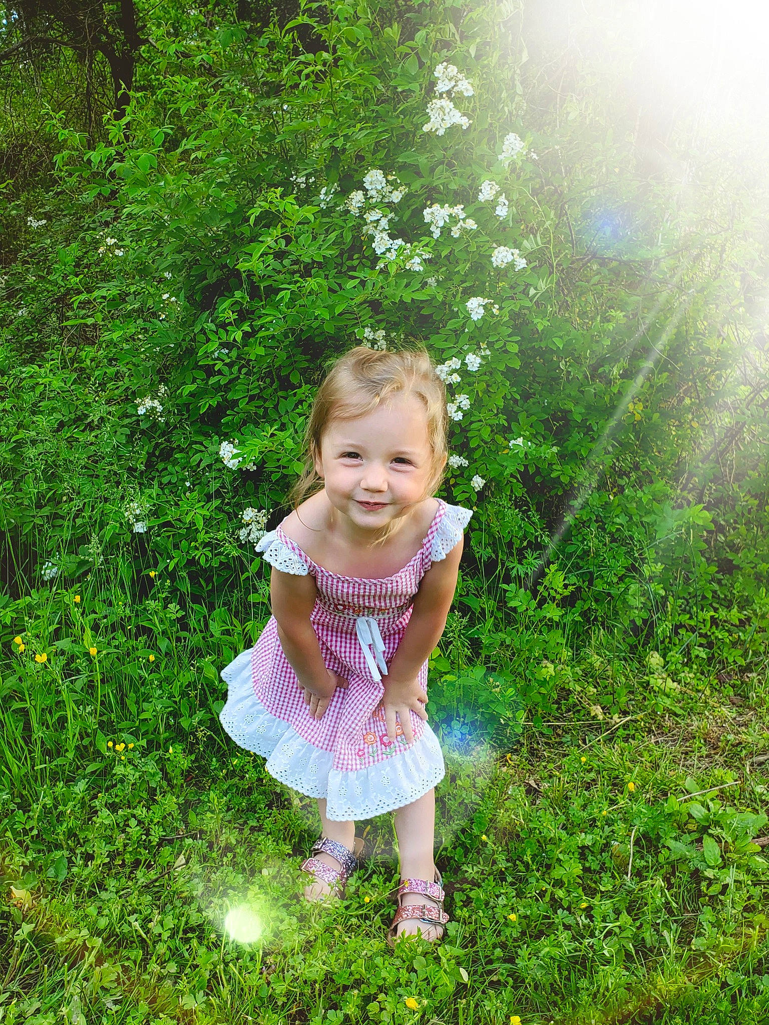 Avery is registered to the contest to win money with this photo: child, dress, flower, fun, grass, green, happy, joy, leaf, meadow, people_in_nature, person, photography, plant, play, smile, spring, summer, sunlight, toddler