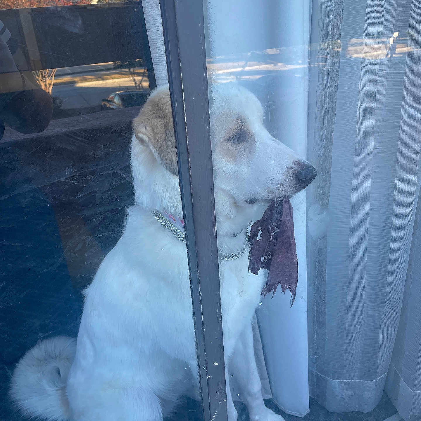 𝓑𝓮𝓵𝓵𝓪 𝓓𝓲𝔁𝓸𝓷