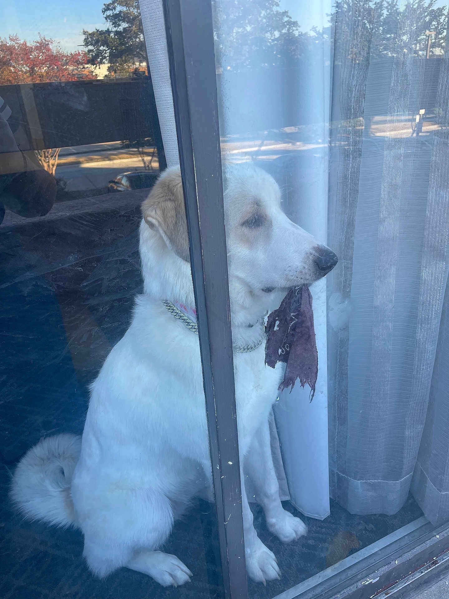 𝓑𝓮𝓵𝓵𝓪 𝓓𝓲𝔁𝓸𝓷