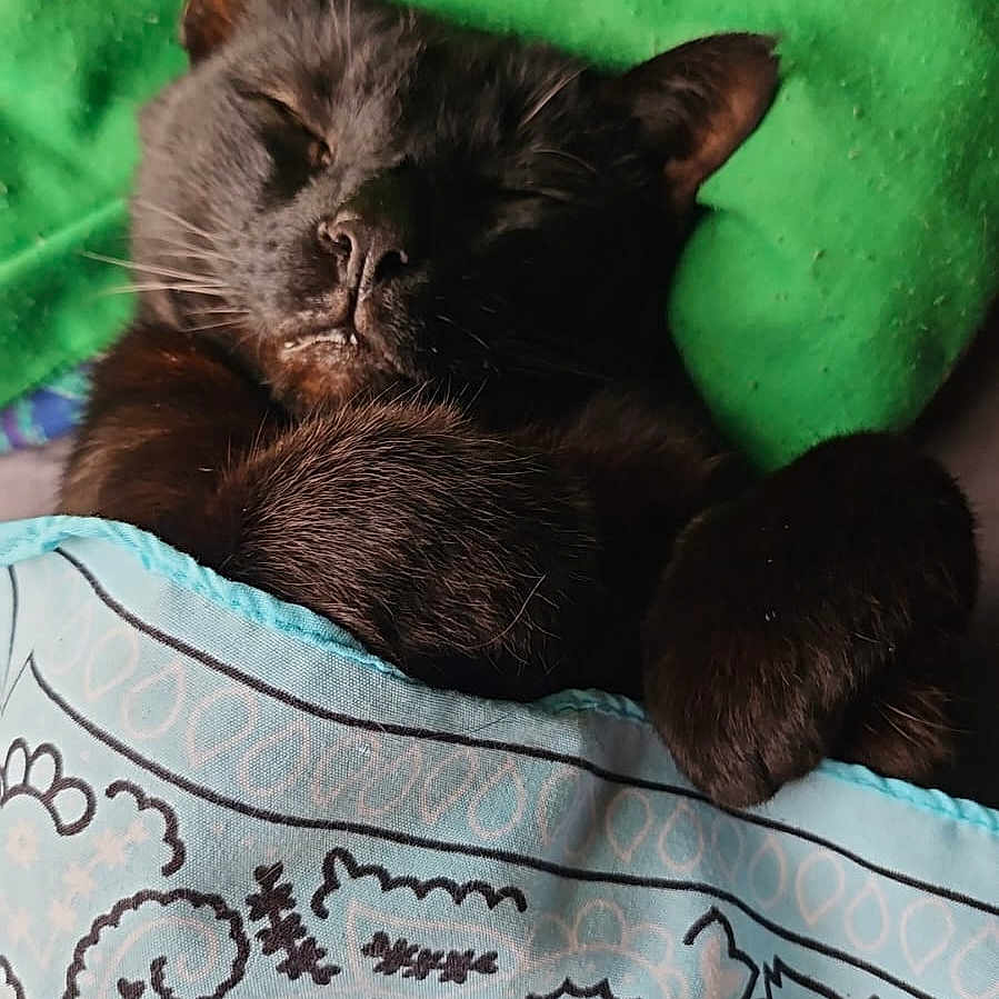 Jinx