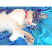 Penny is registered to the contest to win money with this photo: