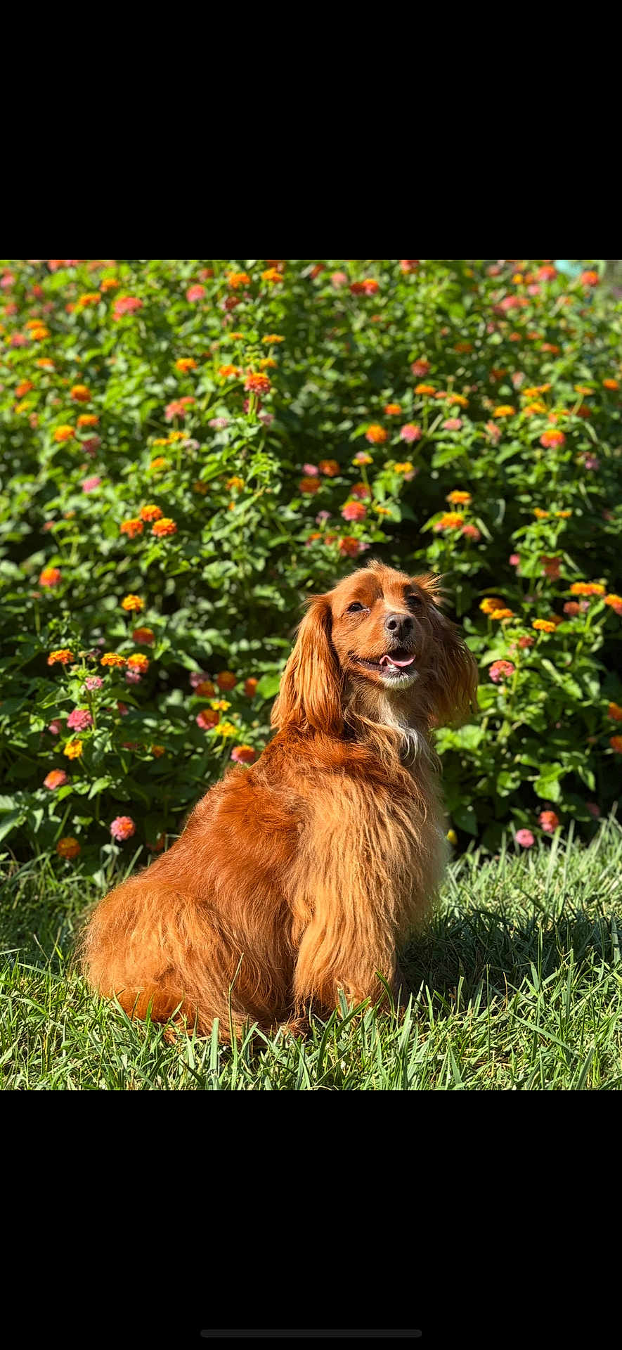 Maggie