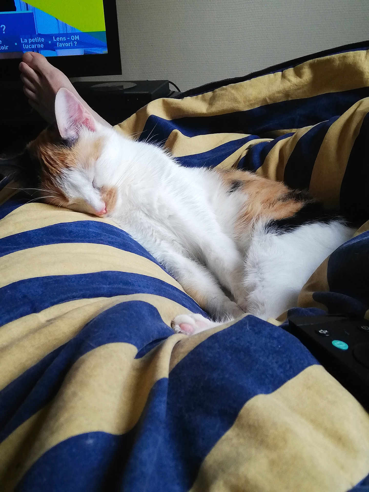 Luna