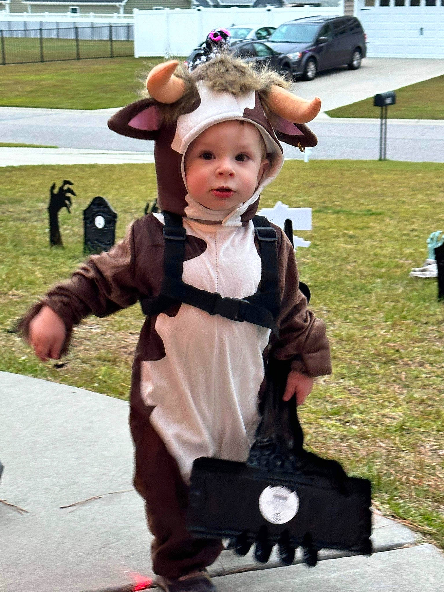 Dexter is registered to the contest to win money with this photo: baby, child, cosplay, costume, event, fun, fur, glove, grass, hat, headwear, luxury_vehicle, person, recreation, tire, toddler, tradition, wheel